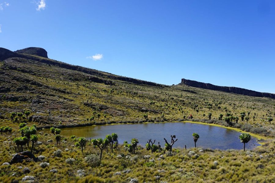 Mount Elgon National Park